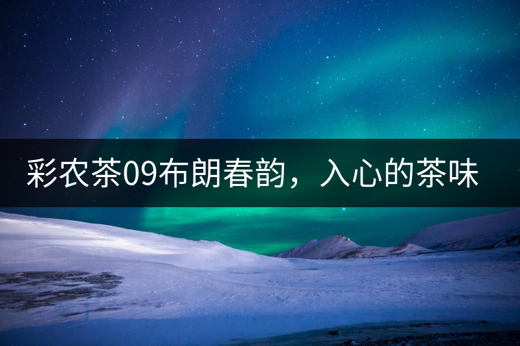 彩農(nóng)茶09布朗春韻，入心的茶味兒