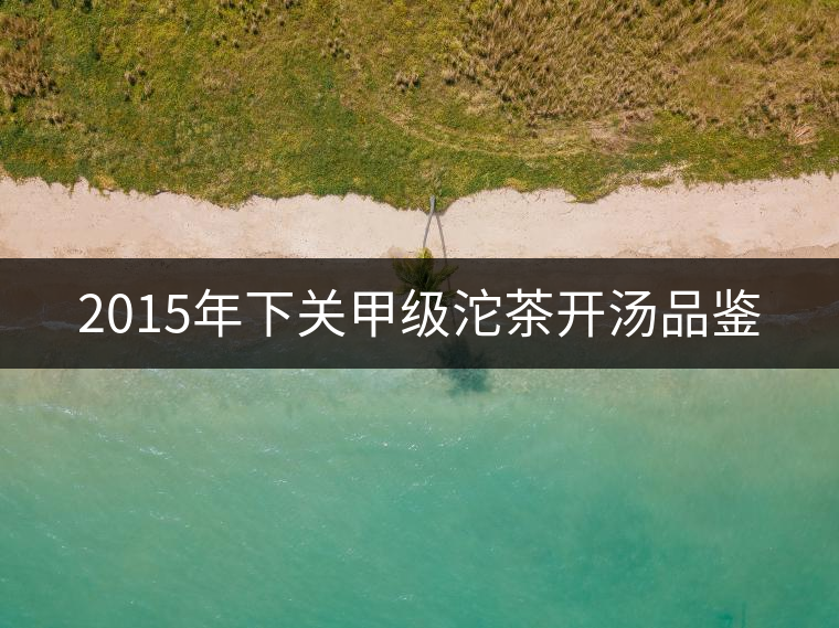 2015年下關(guān)甲級(jí)沱茶開(kāi)湯品鑒