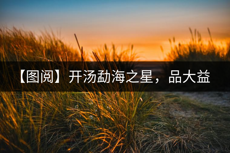 【圖閱】開湯勐海之星，品大益熟茶滋味