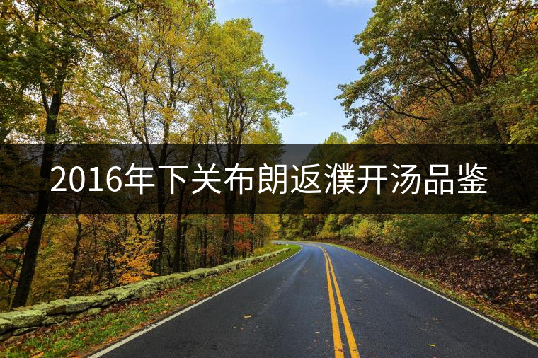 2016年下關(guān)布朗返濮開(kāi)湯品鑒 2016年下關(guān)布朗返濮開(kāi)湯品鑒