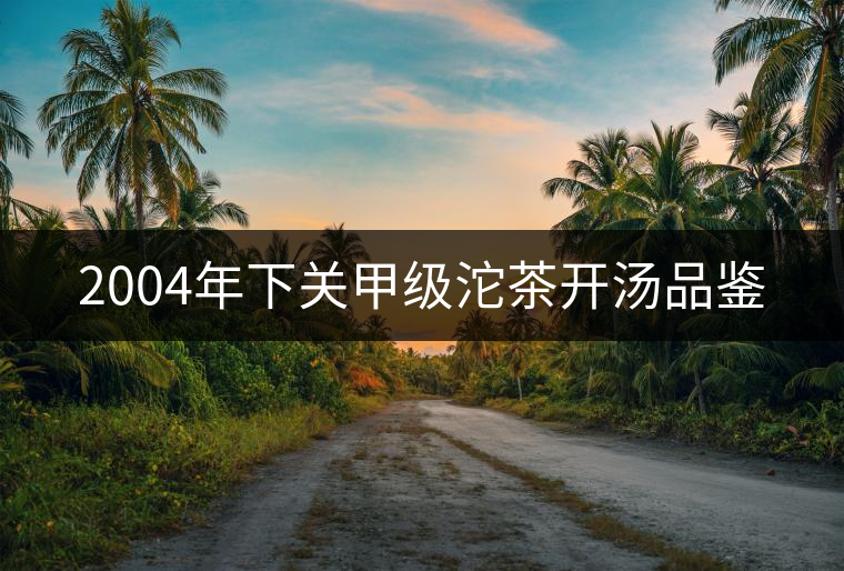 2004年下關(guān)甲級(jí)沱茶開(kāi)湯品鑒 2004年下關(guān)甲級(jí)沱茶開(kāi)湯品鑒