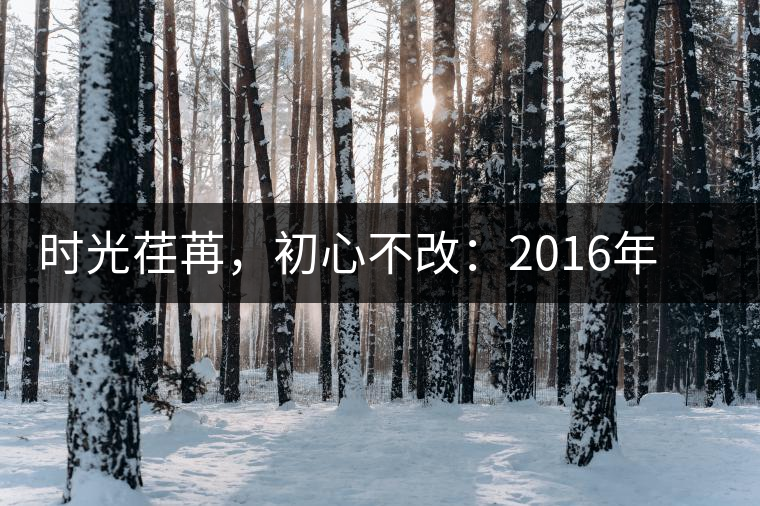 時光荏苒，初心不改：2016年老同志為天下人做好茶開湯