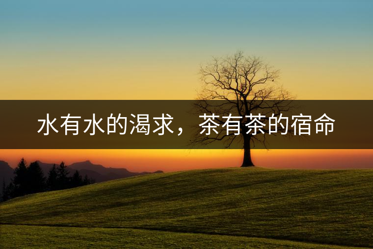 水有水的渴求，茶有茶的宿命