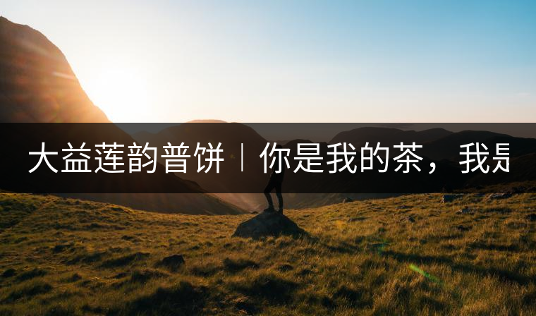 大益蓮韻普餅︱你是我的茶，我是你的人！