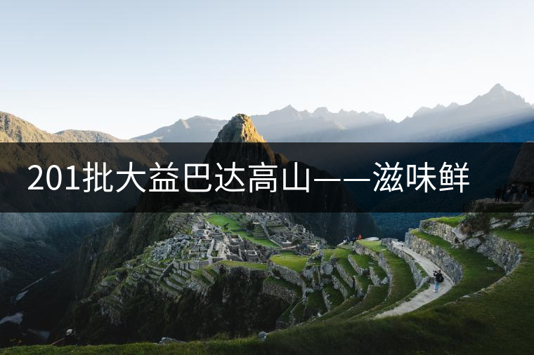 201批大益巴達高山——滋味鮮爽醇厚，回甘高而持久