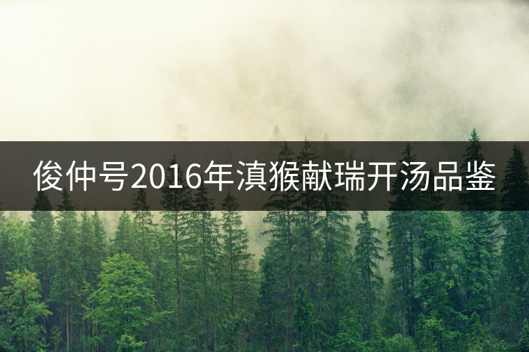 俊仲號2016年滇猴獻瑞開湯品鑒