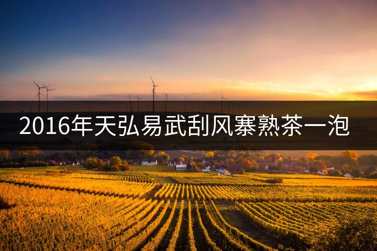 2016年天弘易武刮風(fēng)寨熟茶一泡耐人尋味！