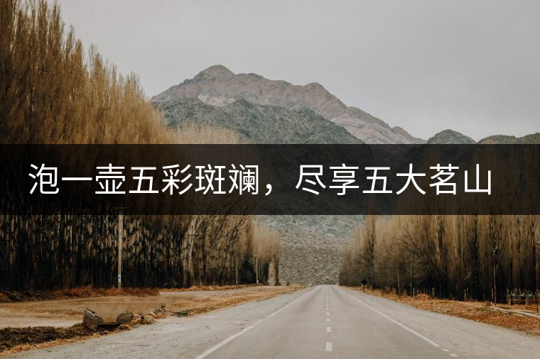 泡一壺五彩斑斕，盡享五大茗山之味