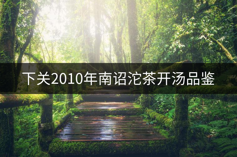 下關(guān)2010年南詔沱茶開(kāi)湯品鑒