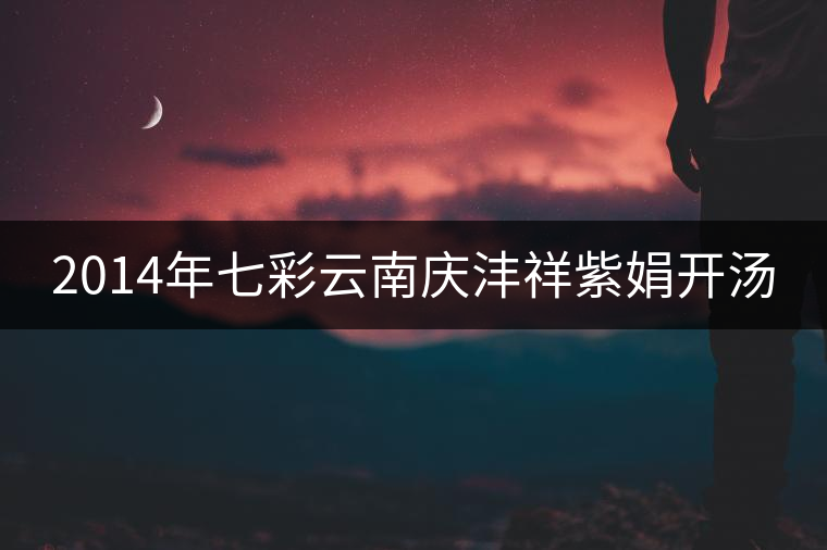 2014年七彩云南慶灃祥紫娟開(kāi)湯