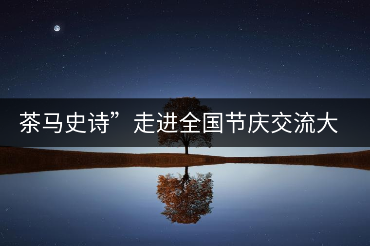 茶馬史詩”走進(jìn)全國節(jié)慶交流大會(huì) 茶馬史詩”走進(jìn)全國節(jié)慶交流大會(huì)