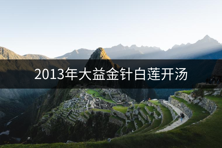 2013年大益金針白蓮開(kāi)湯