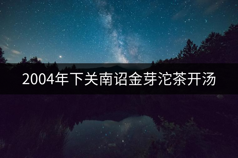 2004年下關(guān)南詔金芽沱茶開(kāi)湯 2004年下關(guān)南詔金芽沱茶開(kāi)湯