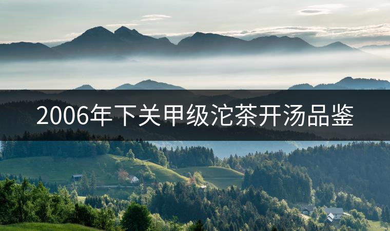 2006年下關(guān)甲級(jí)沱茶開(kāi)湯品鑒