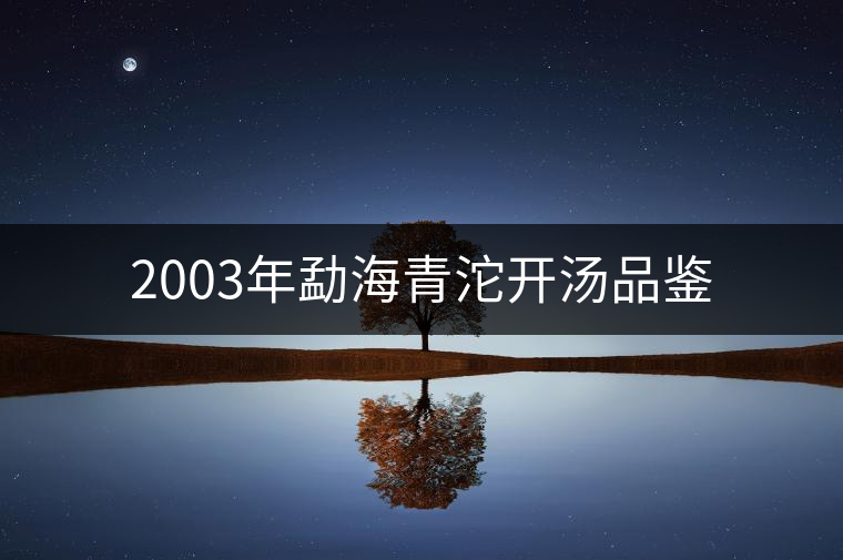 2003年勐海青沱開湯品鑒
