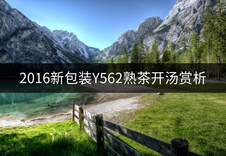 2016新包裝Y562熟茶開(kāi)湯賞析 2016新包裝Y562熟茶開(kāi)湯賞析