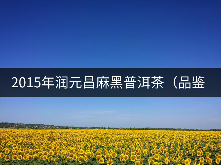 2015年潤(rùn)元昌麻黑普洱茶(品鑒裝)品鑒 2015年潤(rùn)元昌麻黑普洱茶(品鑒裝)品鑒