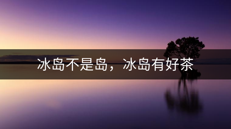 冰島不是島，冰島有好茶