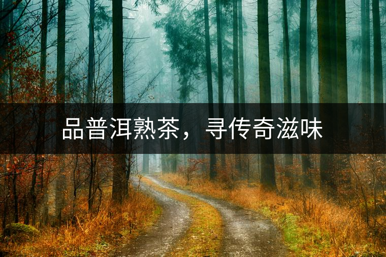 品普洱熟茶，尋傳奇滋味