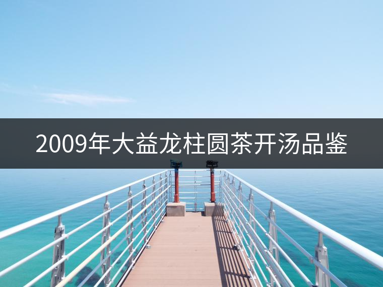 2009年大益龍柱圓茶開(kāi)湯品鑒 2009年大益龍柱圓茶開(kāi)湯品鑒