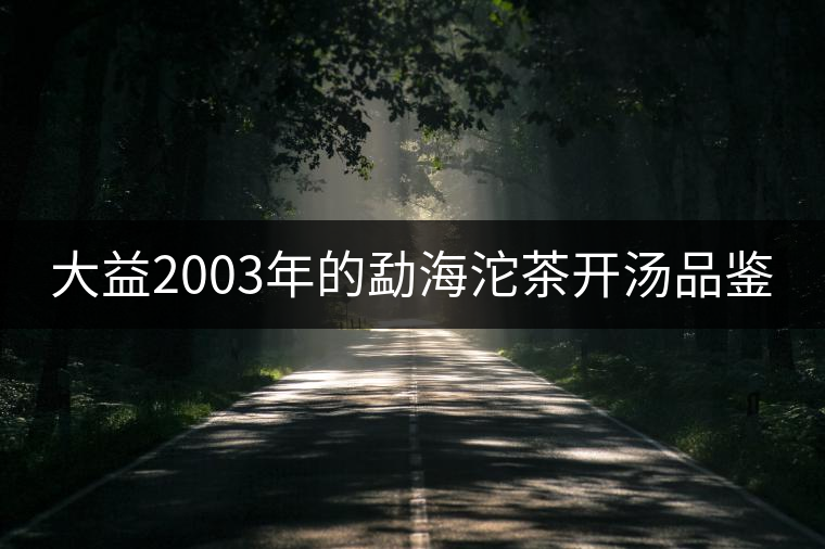 大益2003年的勐海沱茶開湯品鑒