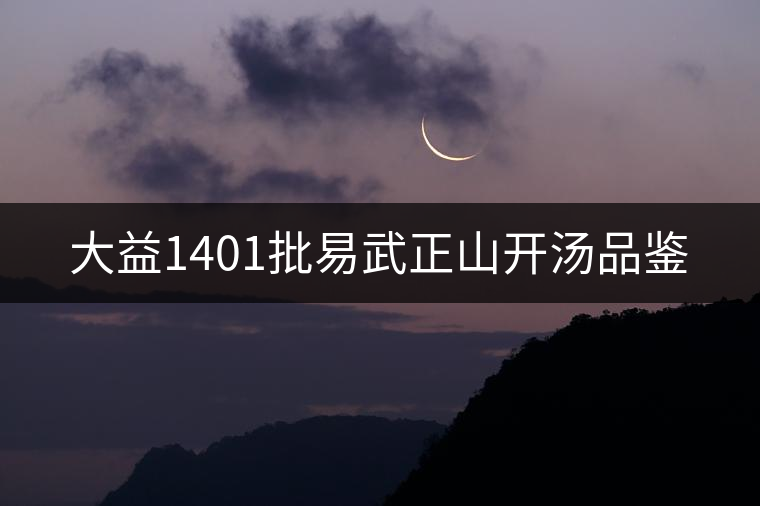 大益1401批易武正山開湯品鑒 大益1401批易武正山開湯品鑒