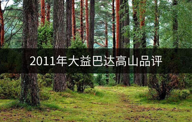 2011年大益巴達(dá)高山品評 2011年大益巴達(dá)高山品評