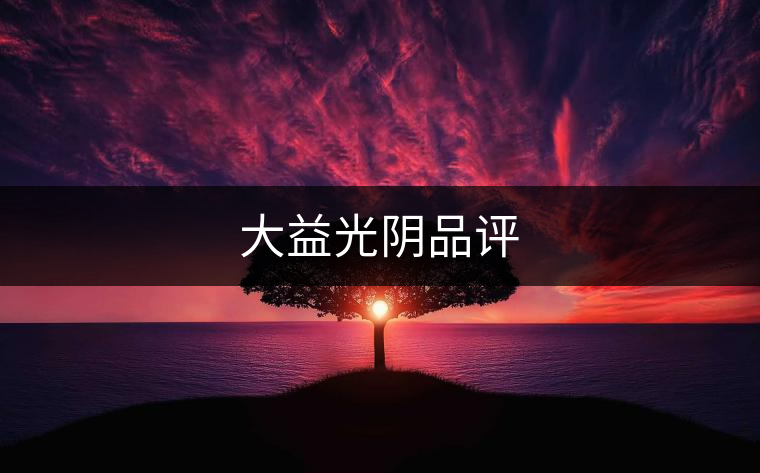 大益光陰品評(píng) 大益光陰品評(píng)