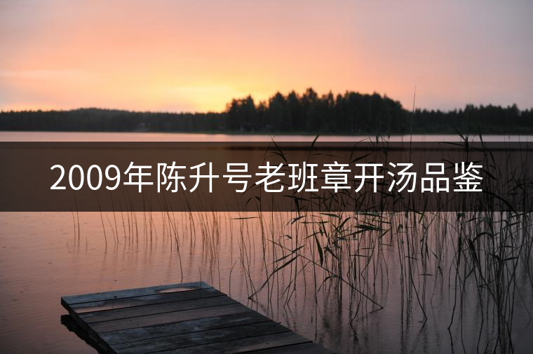 2009年陳升號老班章開湯品鑒 2009年陳升號老班章開湯品鑒