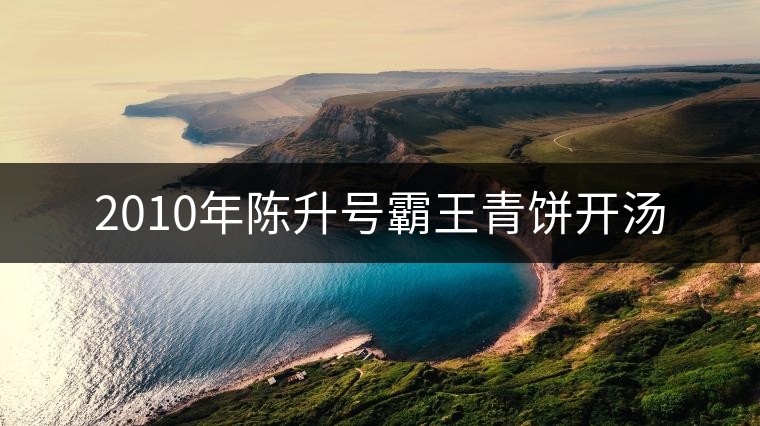 2010年陳升號(hào)霸王青餅開(kāi)湯 2010年陳升號(hào)霸王青餅開(kāi)湯