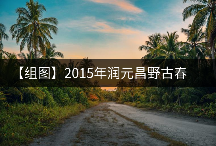 【組圖】2015年潤元昌野古春香開湯 【組圖】2015年潤元昌野古春香開湯
