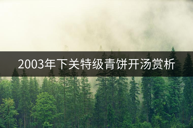 2003年下關特級青餅開湯賞析 2003年下關特級青餅開湯賞析