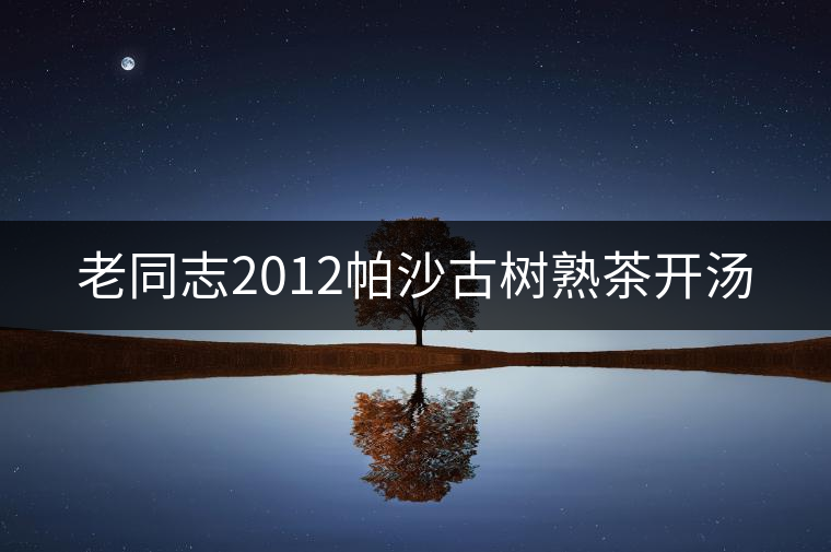 老同志2012帕沙古樹(shù)熟茶開(kāi)湯 老同志2012帕沙古樹(shù)熟茶開(kāi)湯