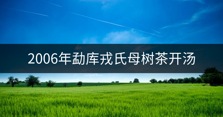 2006年勐庫(kù)戎氏母樹(shù)茶開(kāi)湯 2006年勐庫(kù)戎氏母樹(shù)茶開(kāi)湯