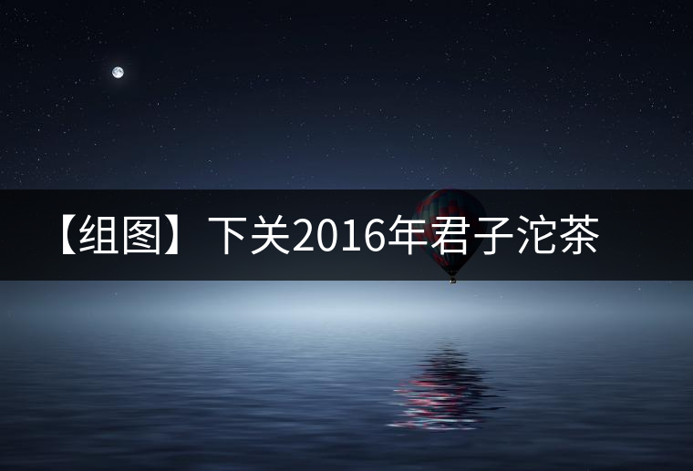 【組圖】下關(guān)2016年君子沱茶(易武)開湯 【組圖】下關(guān)2016年君子沱茶(易武)開湯