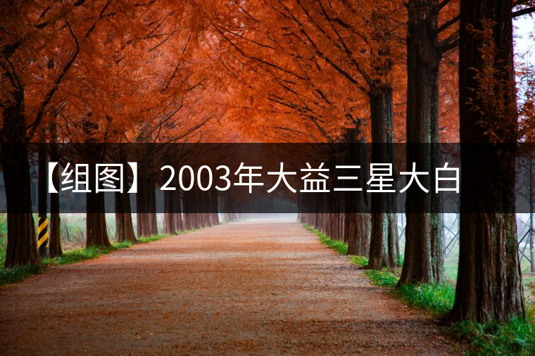【組圖】2003年大益三星大白菜開湯 【組圖】2003年大益三星大白菜開湯