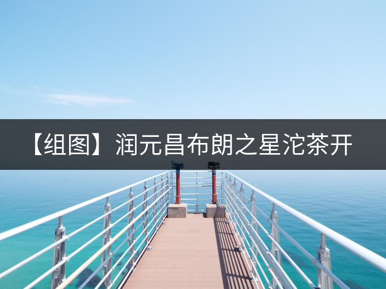 【組圖】潤(rùn)元昌布朗之星沱茶開湯品鑒 【組圖】潤(rùn)元昌布朗之星沱茶開湯品鑒