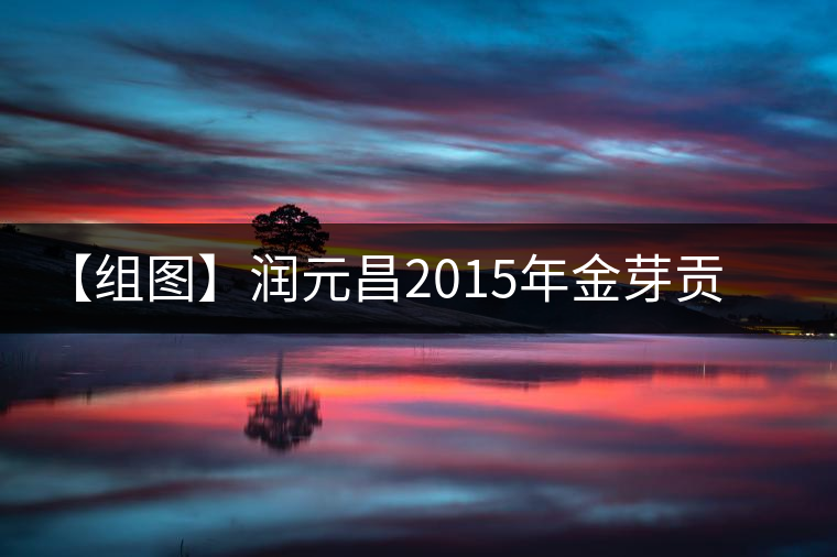 【組圖】潤元昌2015年金芽貢餅開湯 【組圖】潤元昌2015年金芽貢餅開湯