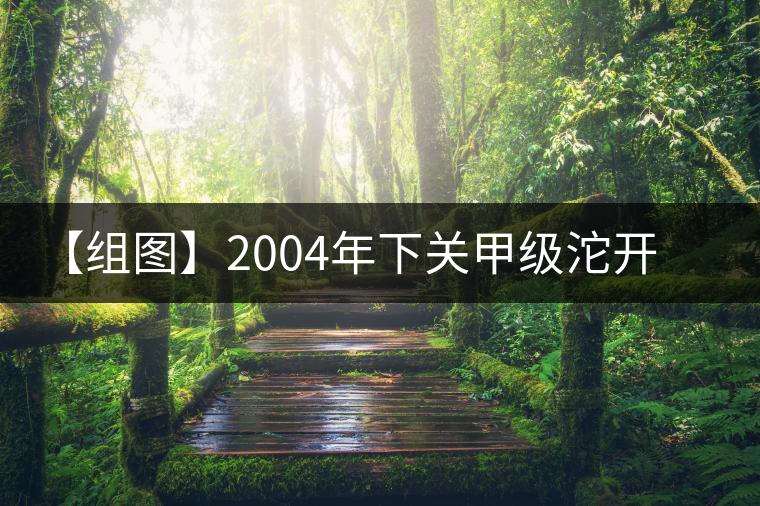 【組圖】2004年下關(guān)甲級沱開湯 【組圖】2004年下關(guān)甲級沱開湯