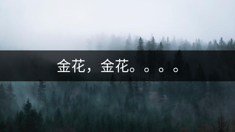 金花，金花。。。。