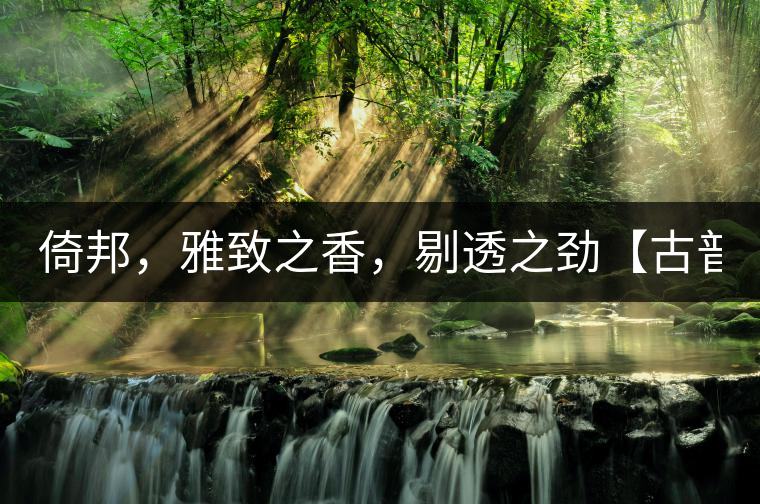 倚邦，雅致之香，剔透之勁【古普十二山品鑒】