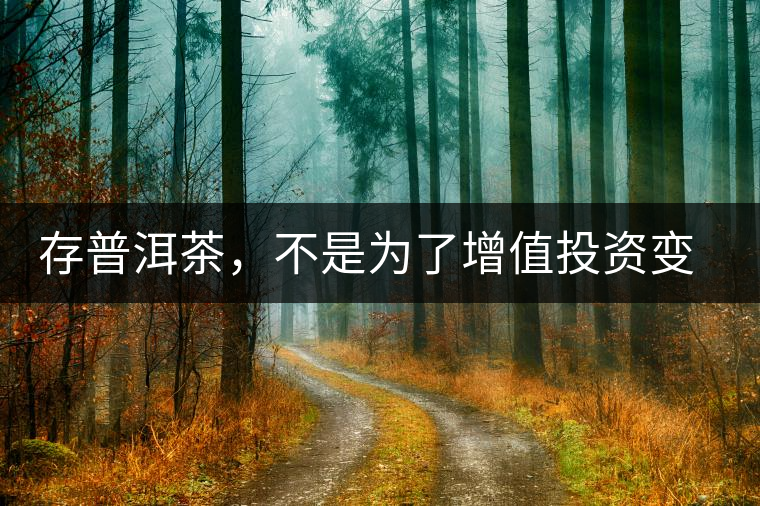 存普洱茶，不是為了增值投資變現(xiàn)，而是為了自己以后有純正的