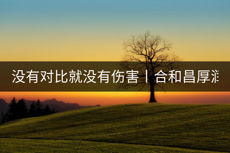沒有對比就沒有傷害丨合和昌厚潤PK大益7572 沒有對比就沒有傷害丨合和昌厚潤PK大益7572