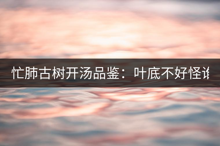 忙肺古樹開湯品鑒：葉底不好怪誰？