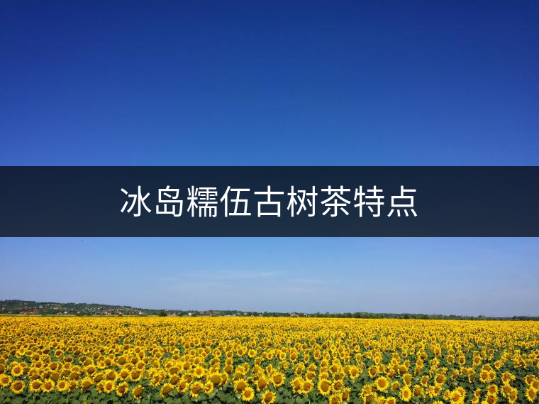 冰島糯伍古樹(shù)茶特點(diǎn) 冰島糯伍古樹(shù)茶特點(diǎn)