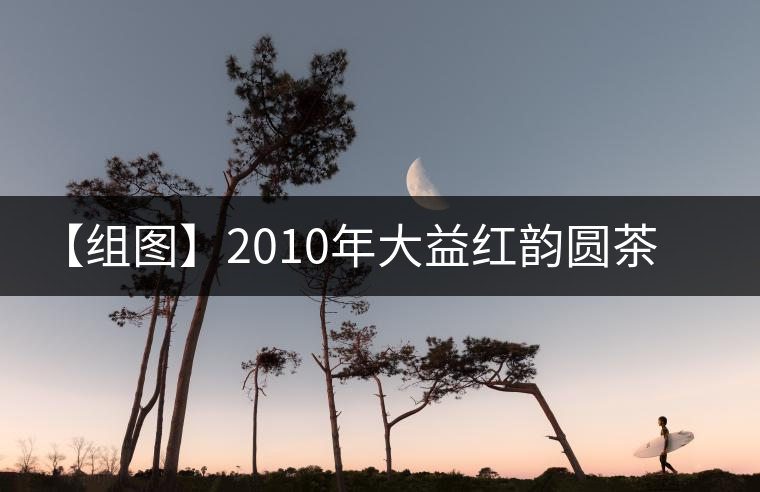 【組圖】2010年大益紅韻圓茶開湯