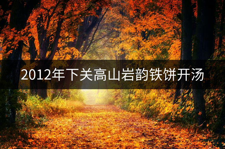 2012年下關(guān)高山巖韻鐵餅開(kāi)湯 2012年下關(guān)高山巖韻鐵餅開(kāi)湯