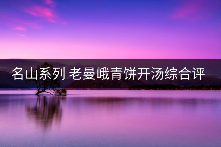 名山系列 老曼峨青餅開湯綜合評測