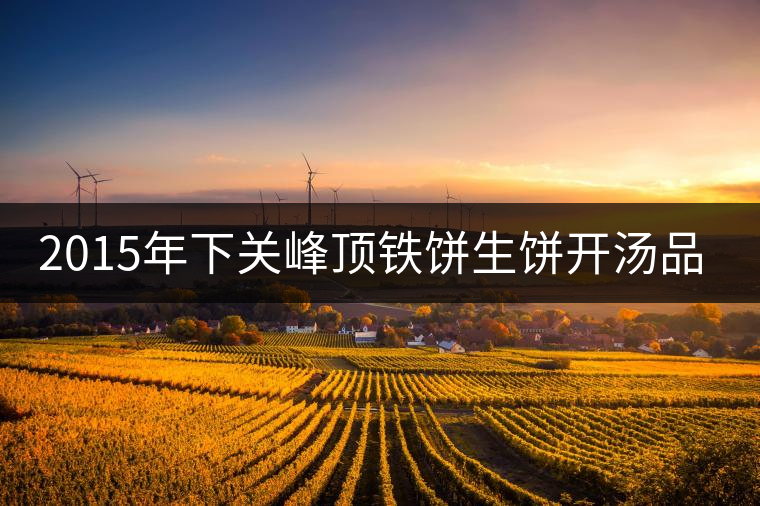 2015年下關(guān)峰頂鐵餅生餅開湯品鑒 2015年下關(guān)峰頂鐵餅生餅開湯品鑒