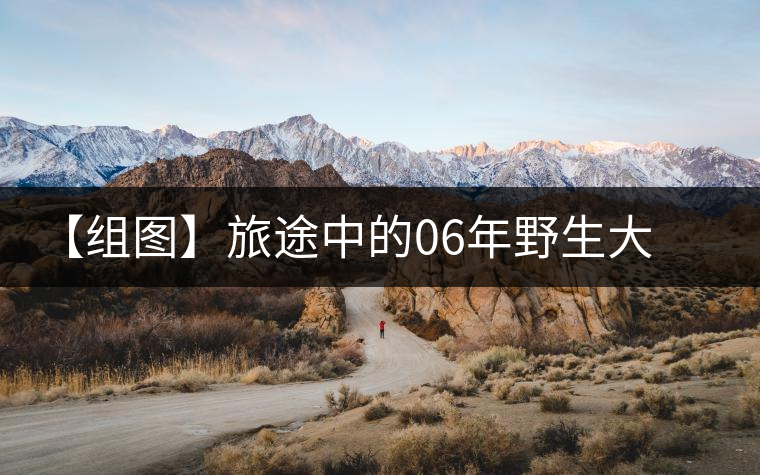 【組圖】旅途中的06年野生大雪山